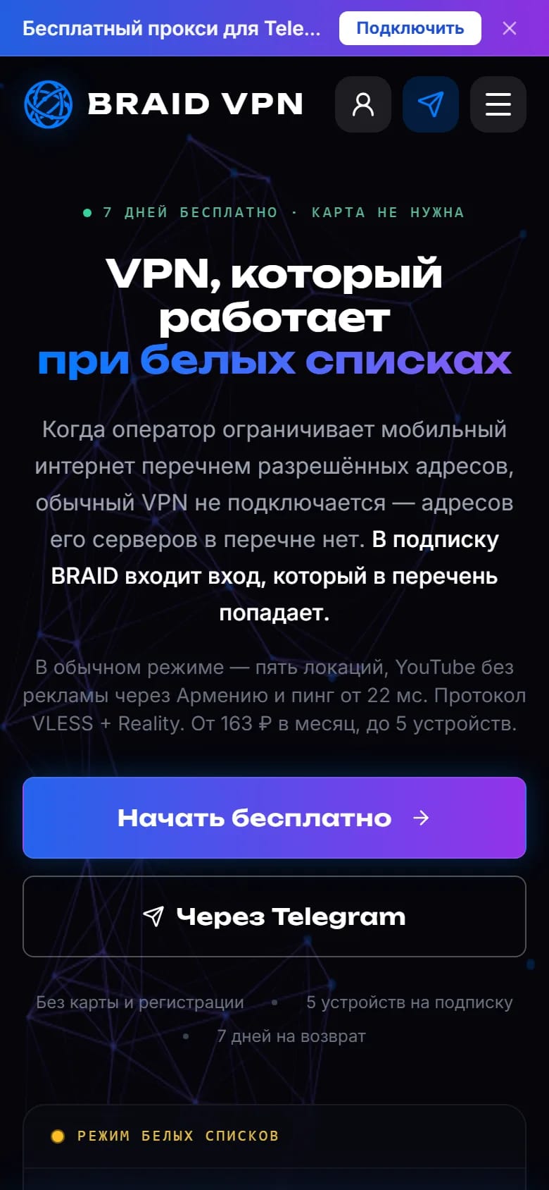 Braid VPN